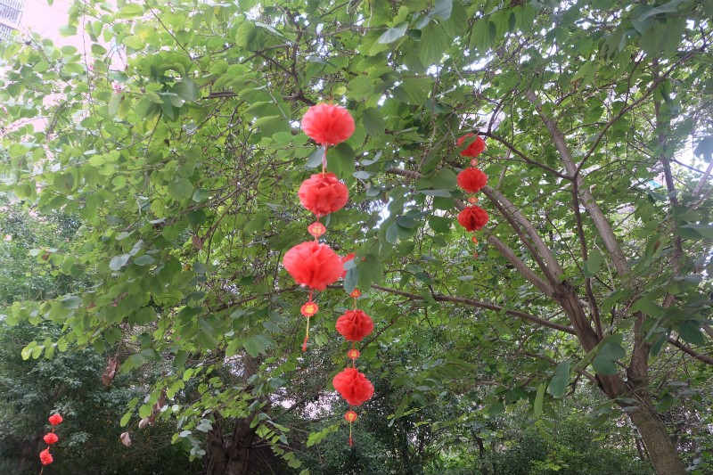 圖片關(guān)鍵詞
