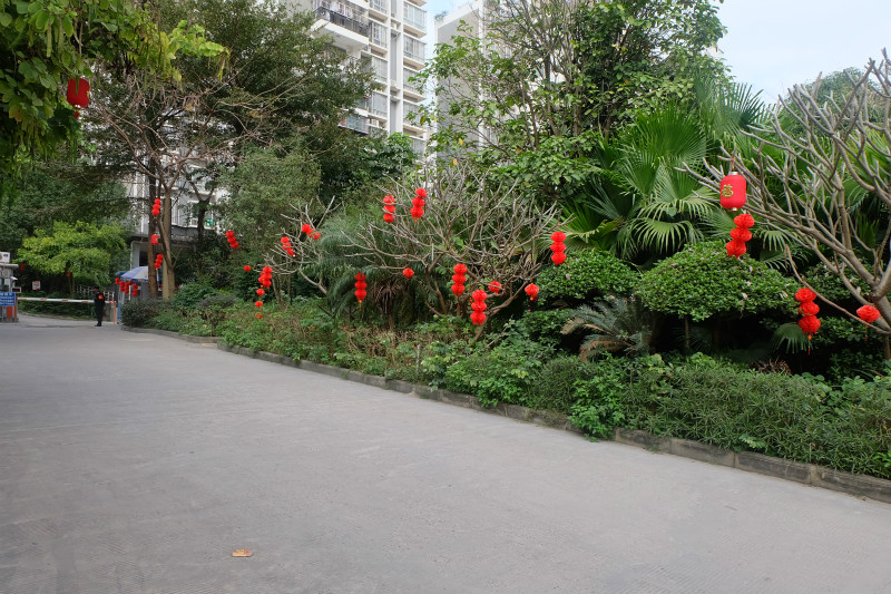 圖片關(guān)鍵詞