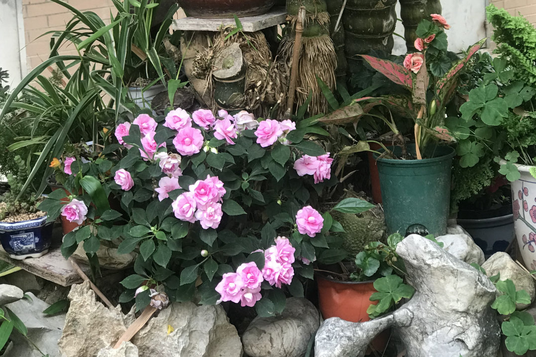 圖片關(guān)鍵詞