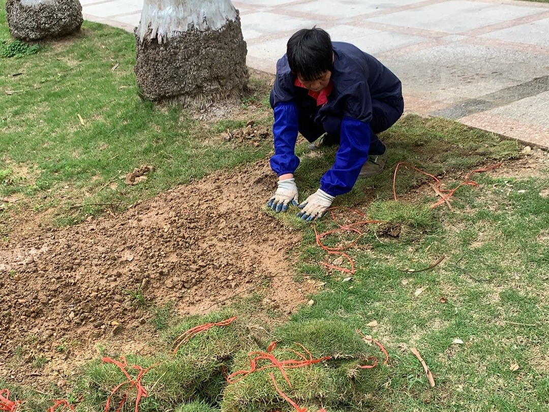 圖片關(guān)鍵詞