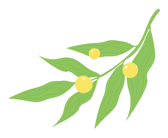 圖片關(guān)鍵詞
