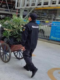 圖片關鍵詞