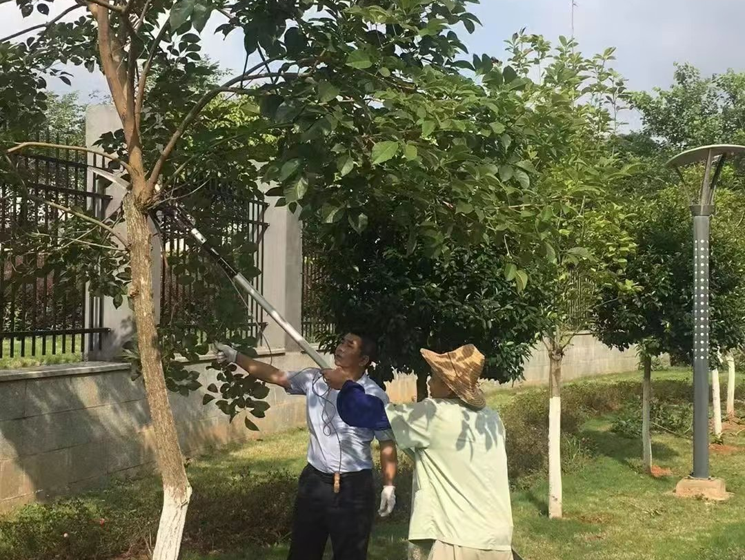 圖片關(guān)鍵詞 圖片關(guān)鍵詞
