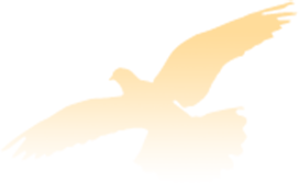 圖片關(guān)鍵詞 圖片關(guān)鍵詞