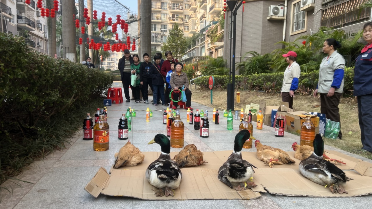 圖片關(guān)鍵詞