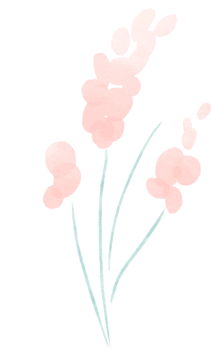 圖片關(guān)鍵詞